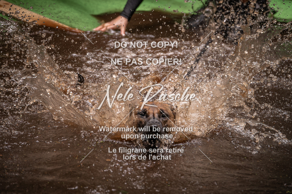 nelerasche_Wingst_Sa1330-1400_91 | nelerasche