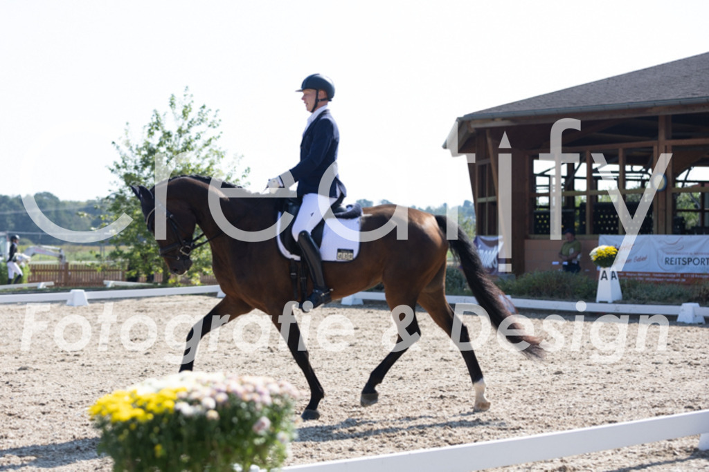 IMG_3817 | Creatify Fotografie