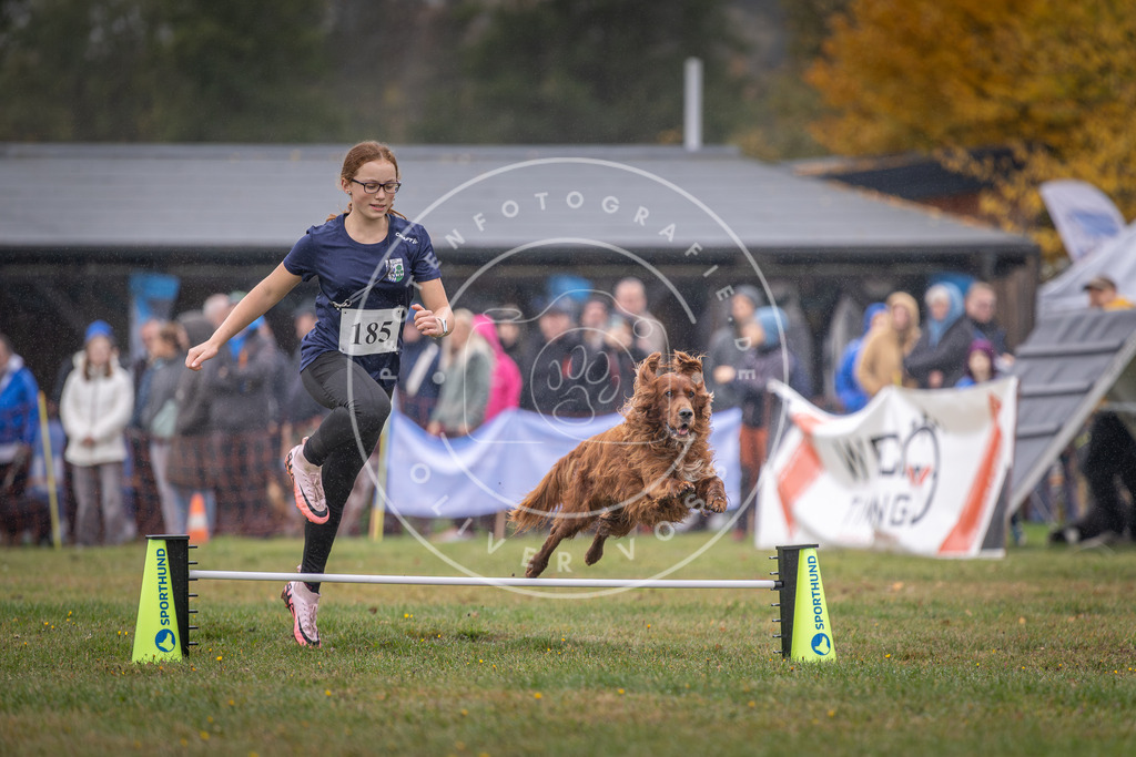 Pfotenfotografie_DV3A9747 | Hundefotografie, Tierfotograf, Pfotenfotografie, Fotoshooting Hund, Hunde Portrait, Hundesport, Hundeportraits, Heideshooting, Hunde, Sportfotograf, Hundefotograf, Turnierhundsport, THS,  - Realisiert mit Pictrs.com
