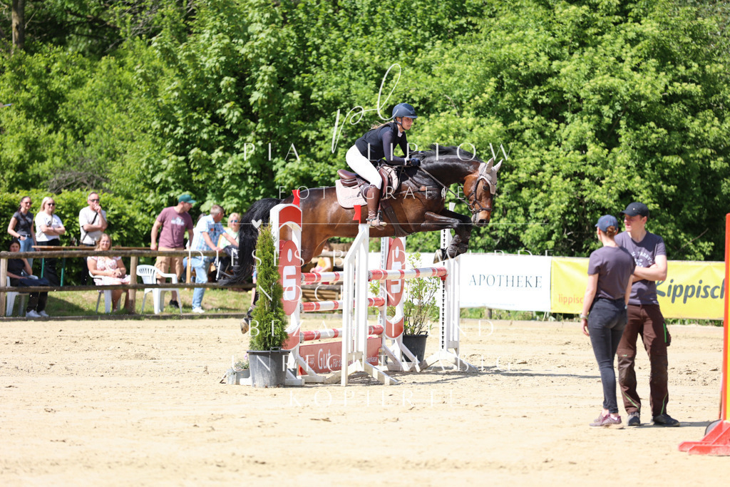 IMGS8872 | pl-fotografie