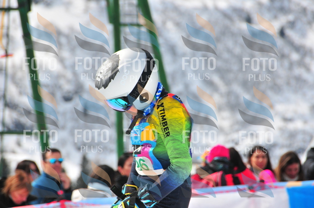 DSC_1803 | holidayphoto