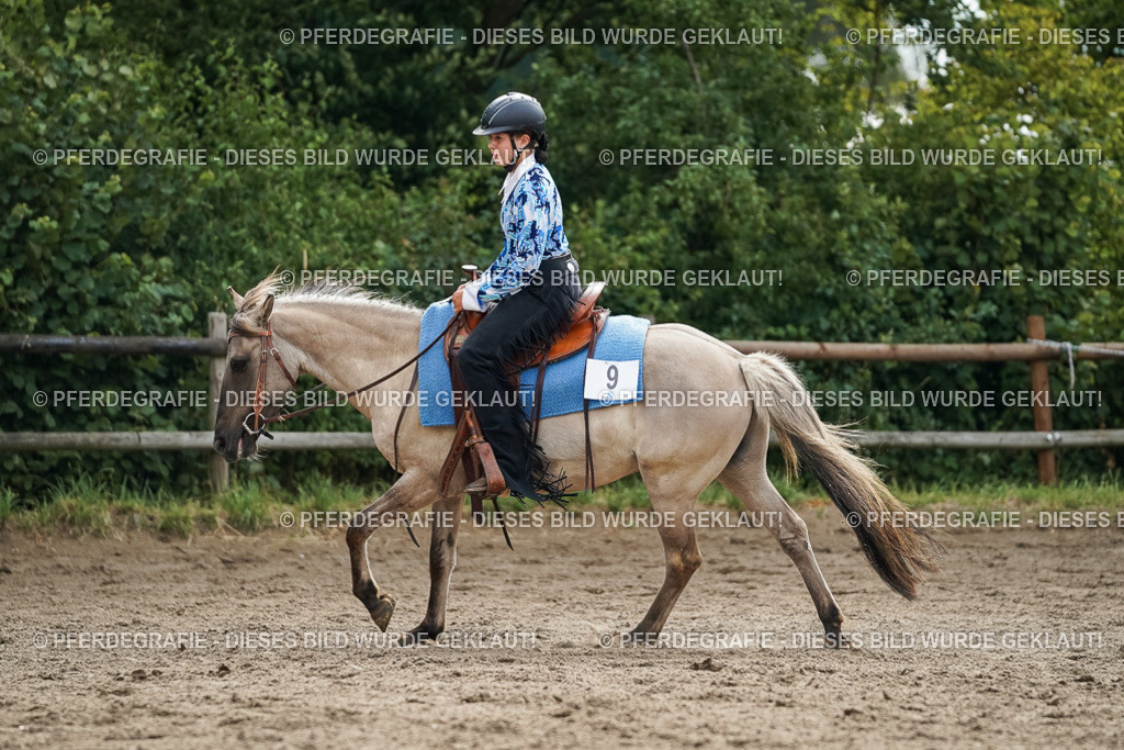 DSC03615 | Pferdegrafie