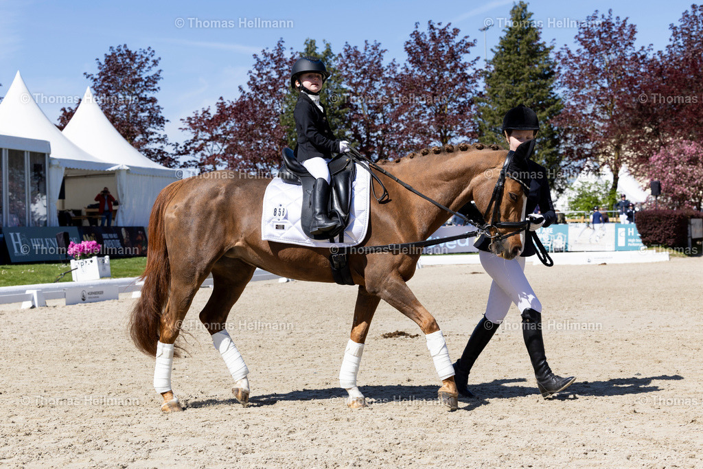 TH_858-FREYER Paula (GER)_ Diamond_s Queen H_36704 | Horses &amp; Dreams 2026 am 26.04.26 in Hagen a.T.W., Thomas Hellmann, 858FREYER Paula (GER), Diamond's Queen H