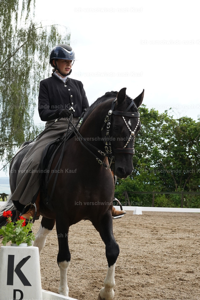 KlasseL_Lucie1066 | working equitationturnier fotograf videograf stoibphotography marixx film working equitation deutschland reitsport turnierfotografie eventfotografie equestrian events