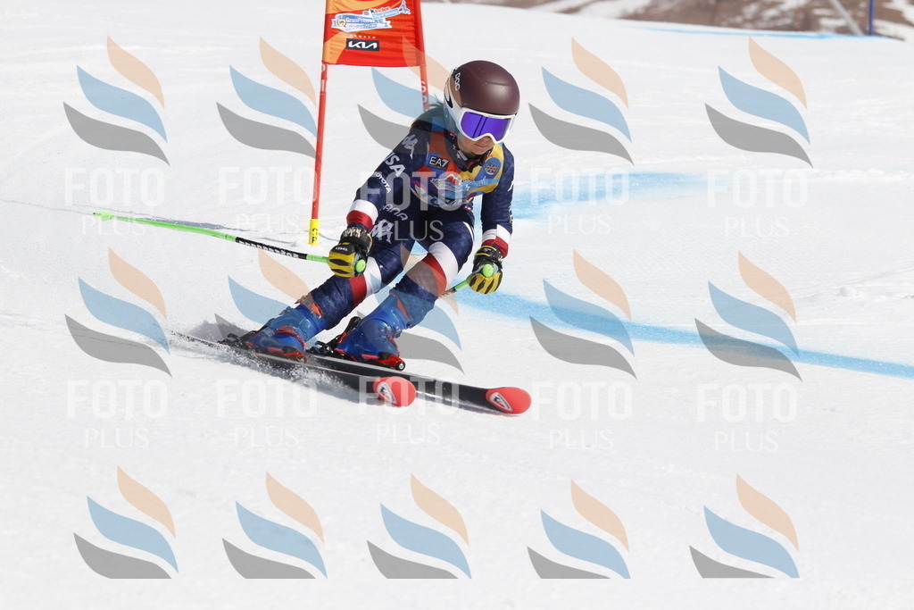 _U3G0462 | holidayphoto