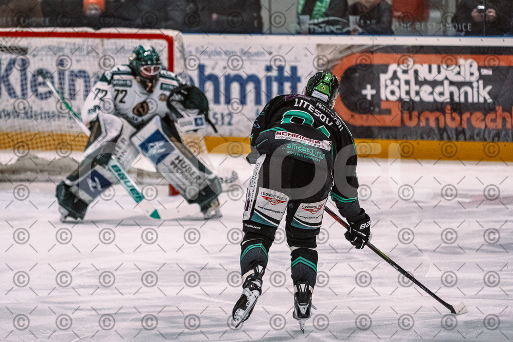 Alligators_vs_Erding_01_02_2026-60 | Höchstadt Alligators Fotogalerie: Eishockey-Action aus Franken. Professionelle Spielfotos, Portraits & Stadionbilder zum Download. Jetzt entdecken! - Realized with Pictrs.com