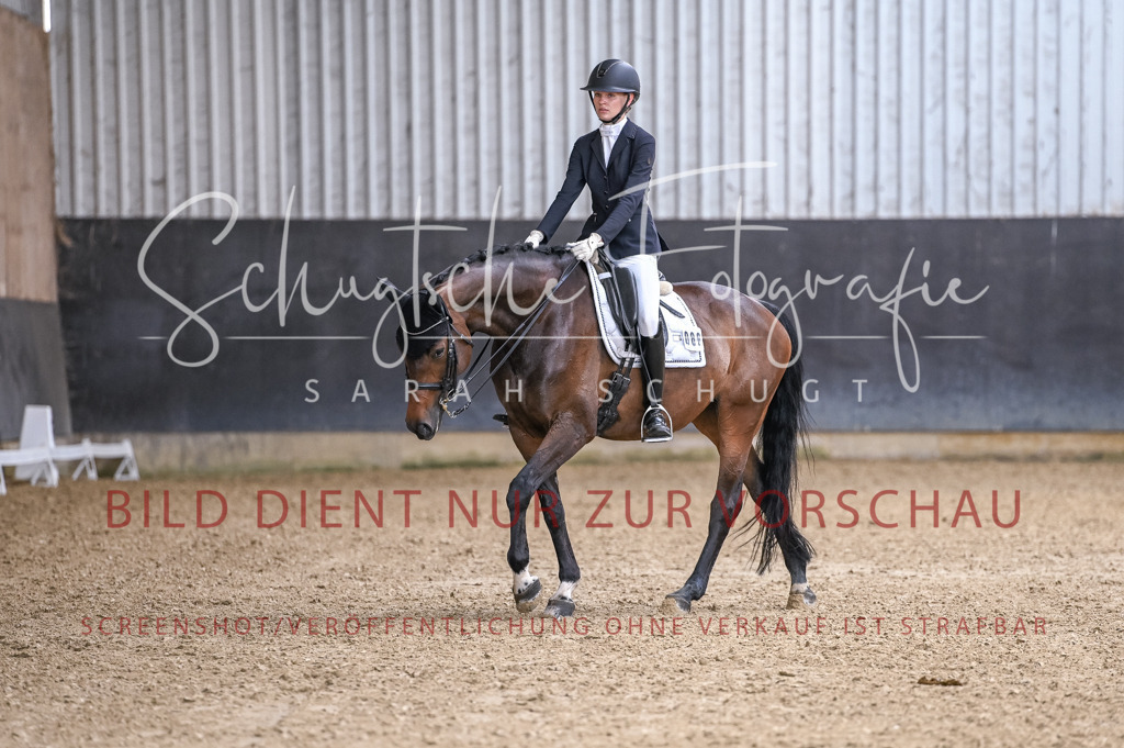 Schugtsche-Aluta25-57.Dressurprf.M1Kand-98 | Schugtsche Fotografie - Realisiert mit Pictrs.com