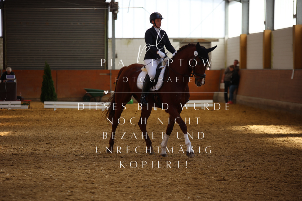 IMGT4886 | pl-fotografie