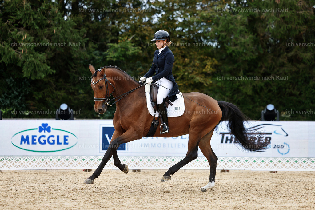 6-001-AMATUER-DRESSUR S_  -StoibPH-3557 | working equitationturnier fotograf videograf stoibphotography marixx film working equitation deutschland reitsport turnierfotografie eventfotografie equestrian events