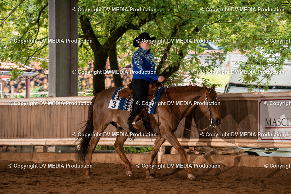 Erbach Tag 4-375 | dv-media-shop - Realisiert mit Pictrs.com