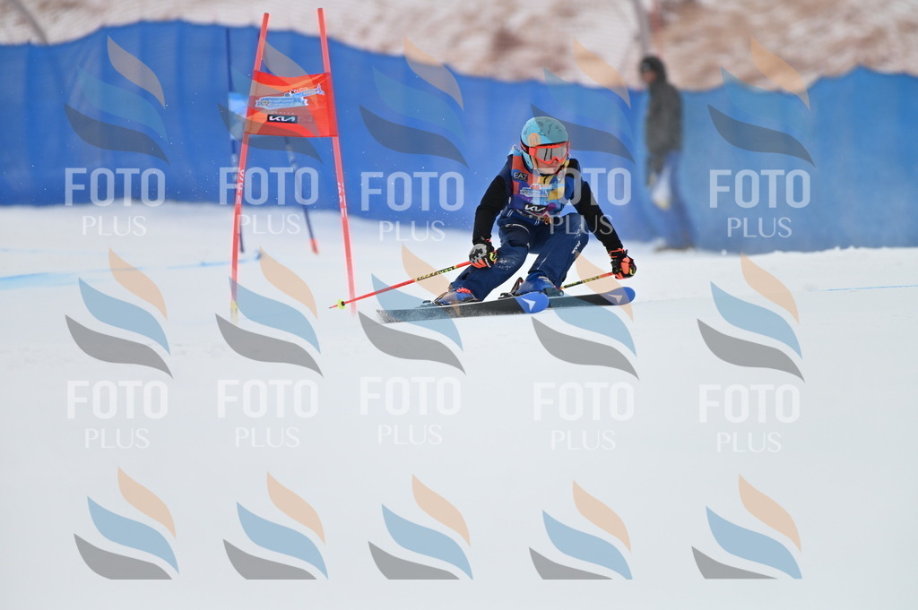 BGV_9935 | holidayphoto