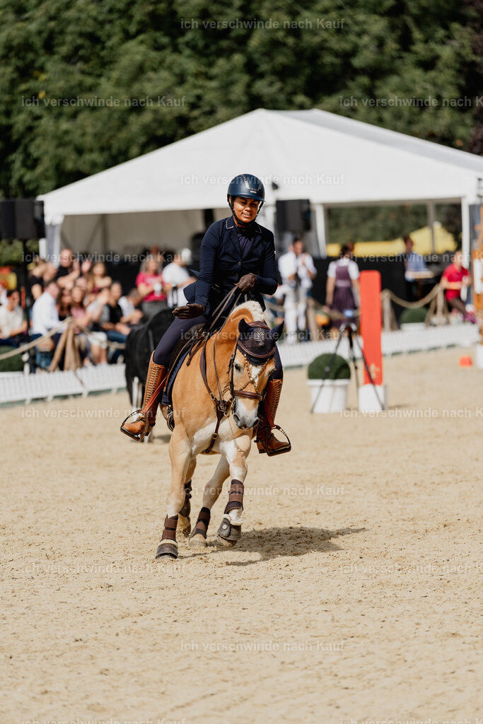 Tanesha5FHC2025-2670 | working equitationturnier fotograf videograf stoibphotography marixx film working equitation deutschland reitsport turnierfotografie eventfotografie equestrian events