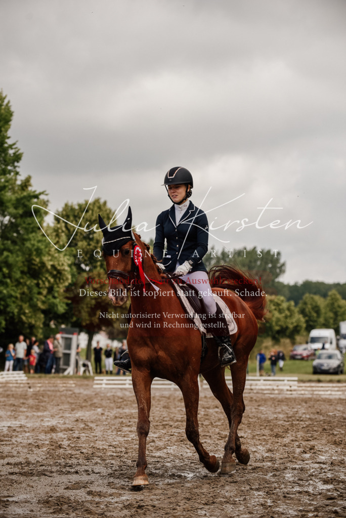 DSC_9400 | Pferde- und Turnierfotografie in Westsachsen. Pferdeportraits, Auftragszeichnungen und intuitive Kunst.