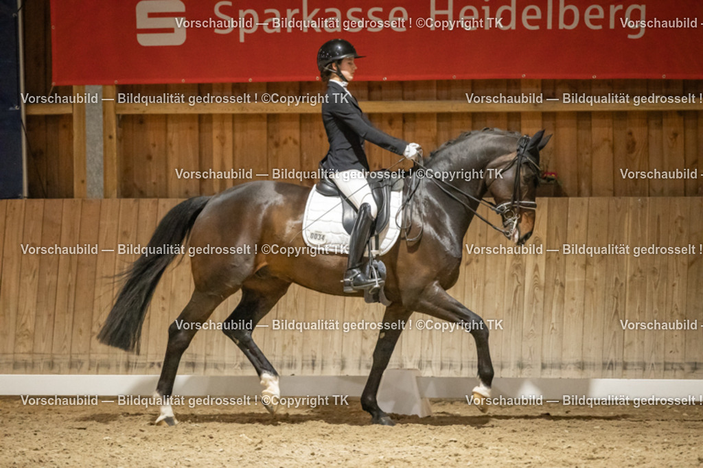 _D5A1219 | Emotionale Pferde- & People-Fotografie rund um Heidelberg, Leimen & Umgebung. Natürliche Fotos von Pferd, Mensch & Familie. Jetzt Termin sichern!