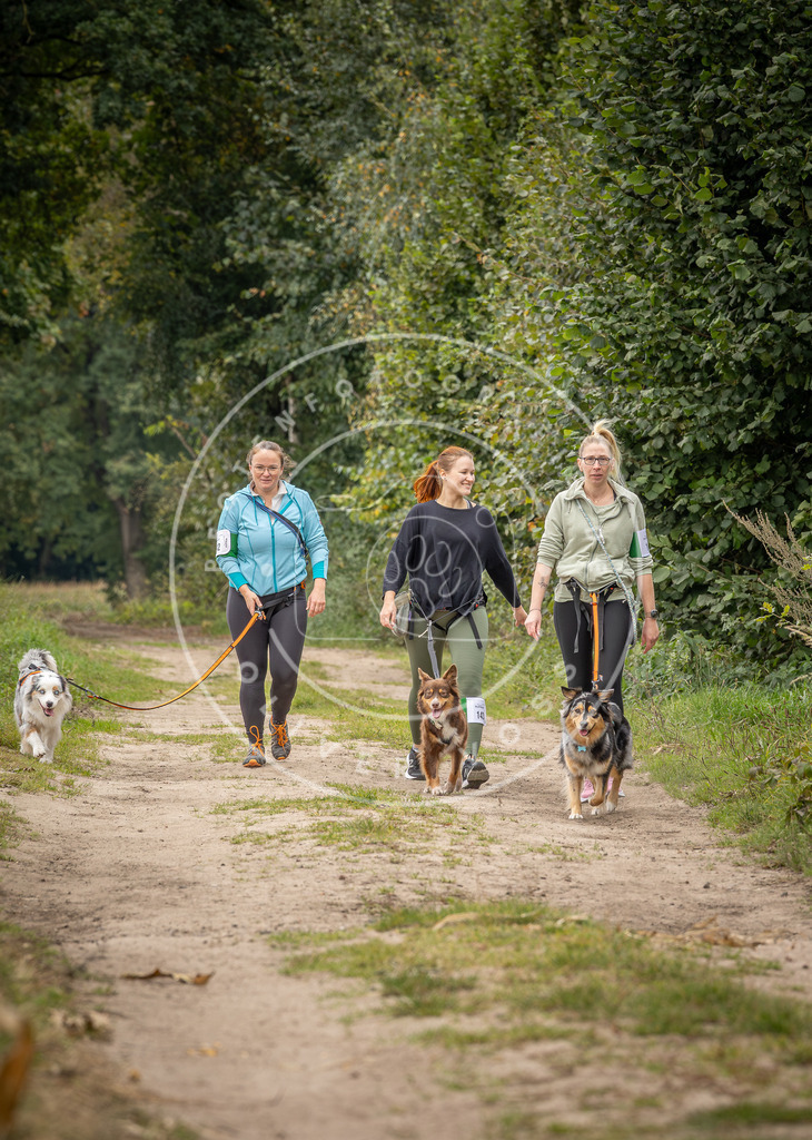 Pfotenfotografie_DV3A7002 | Hundefotografie, Tierfotograf, Pfotenfotografie, Fotoshooting Hund, Hunde Portrait, Hundesport, Hundeportraits, Heideshooting, Hunde, Sportfotograf, Hundefotograf, Turnierhundsport, THS,  - Realisiert mit Pictrs.com
