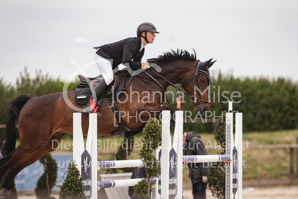 250417_Frühlingsfest_Springpferde-M-117 | Deine schönsten Turniermomente als professionelle Fotos! Entdecke hochwertige Pferdesport-Fotografie im Online-Shop. Jetzt Fotos finden & bestellen!