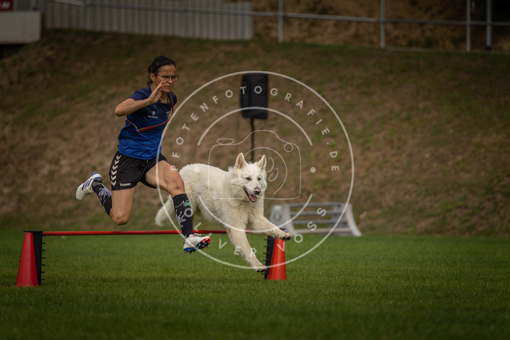 Pfotenfotografie_DV3A7543 | Hundefotografie, Tierfotograf, Pfotenfotografie, Fotoshooting Hund, Hunde Portrait, Hundesport, Hundeportraits, Heideshooting, Hunde, Sportfotograf, Hundefotograf, Turnierhundsport, THS,  - Realisiert mit Pictrs.com