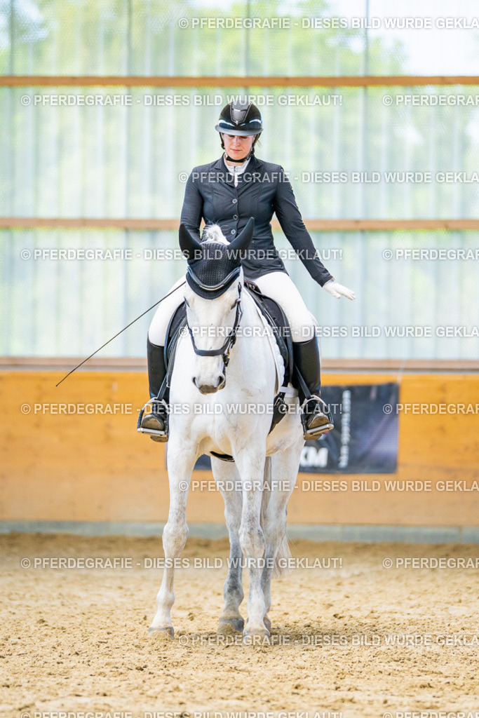 DSC07800 | Pferdegrafie