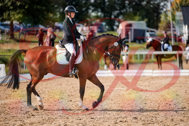 2026_10_03_Siefer-Hof_131509_Z63_76509906 | Professionelle Reitsport-, Turnier- und Eventfotografie von Robert Broda. Galerien mit ausgewählten und bearbeiteten Bildern direkt online ansehen und bestellen.