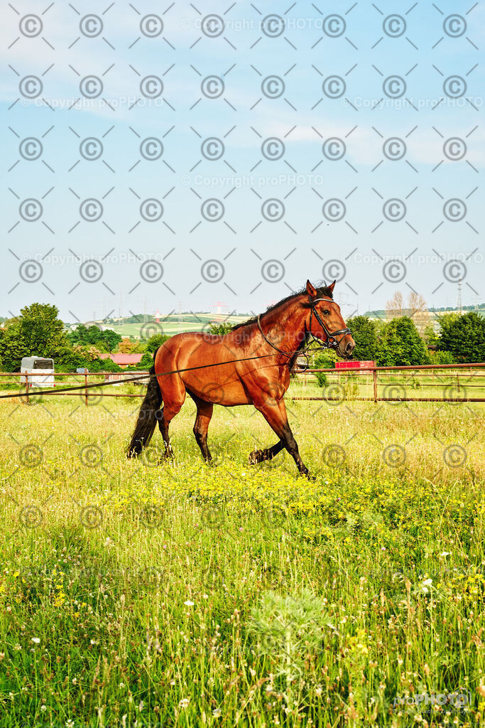 261_202406_Niki-Herodes_NZ9_0168 | proPHOTO - Realisiert mit Pictrs.com