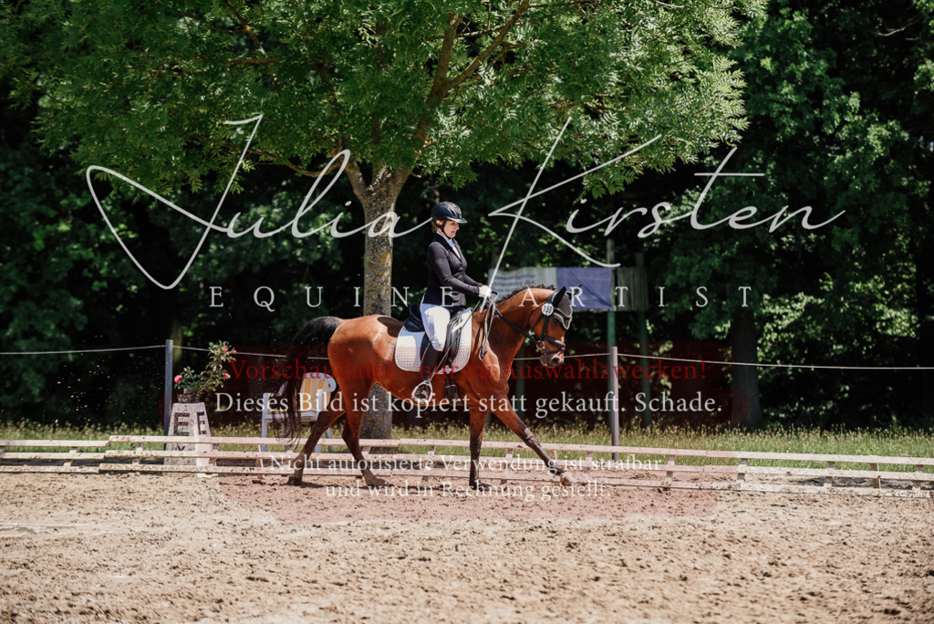 DSC_1904 | Pferde- und Turnierfotografie in Westsachsen. Pferdeportraits, Auftragszeichnungen und intuitive Kunst.