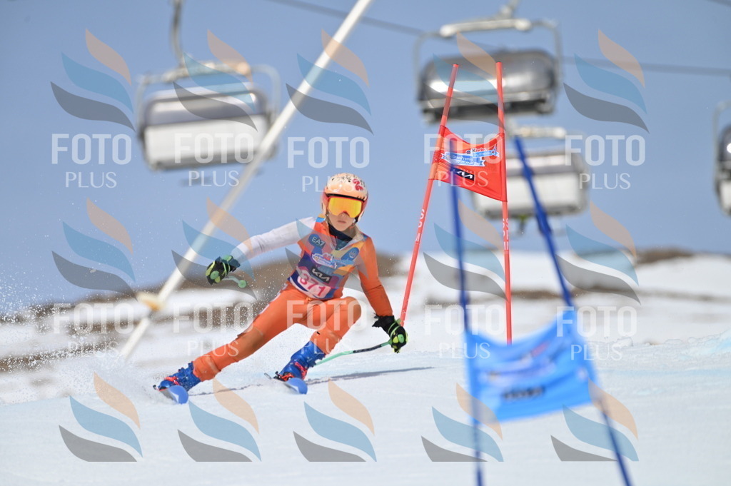 BGV_4042 | holidayphoto