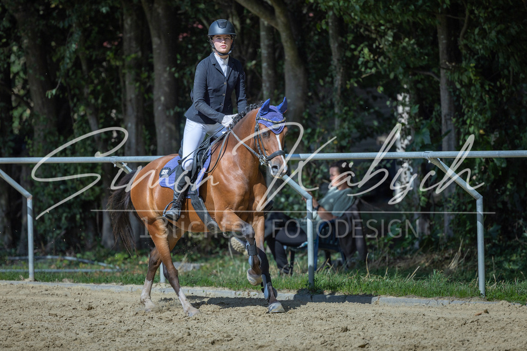 20260905-_3LI9237 | Tierfotografie Pferde, Hunde, Katzen, Haustiere.
Turnierfotografie Reitturniere, Reiten, Springreiten, Dressur in Hanau, dem Main-Kinzig-Kreis und dem Rhein-Main- Gebiet um Frankfurt