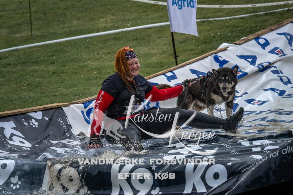 1537_ZZ95817 | kk-dogfotos