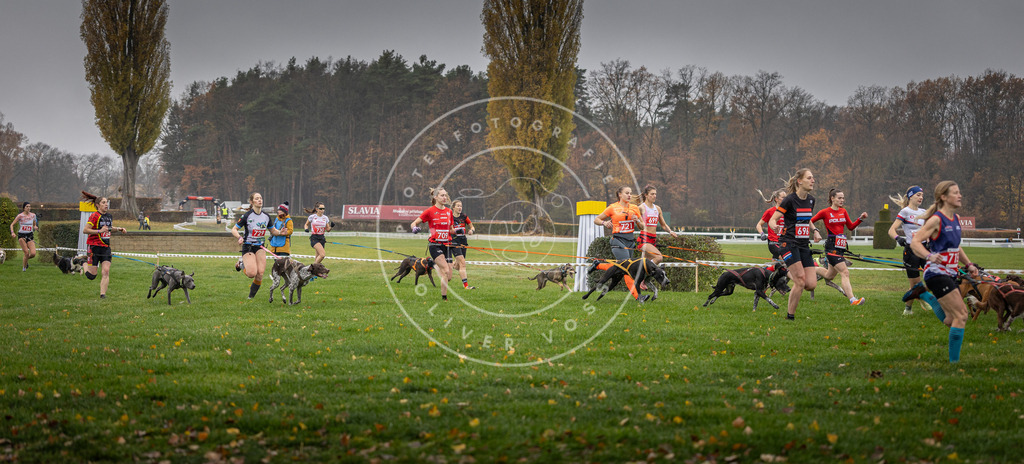 CaniXpix_DV3A8813 | Hundefotografie, Tierfotograf, Pfotenfotografie, Fotoshooting Hund, Hunde Portrait, Hundesport, Hundeportraits, Heideshooting, Hunde, Sportfotograf, Hundefotograf, Turnierhundsport, THS,  - Realisiert mit Pictrs.com