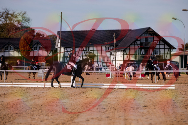 2026_10_03_Siefer-Hof_115453_Z81_94731615 | Professionelle Reitsport-, Turnier- und Eventfotografie von Robert Broda. Galerien mit ausgewählten und bearbeiteten Bildern direkt online ansehen und bestellen.