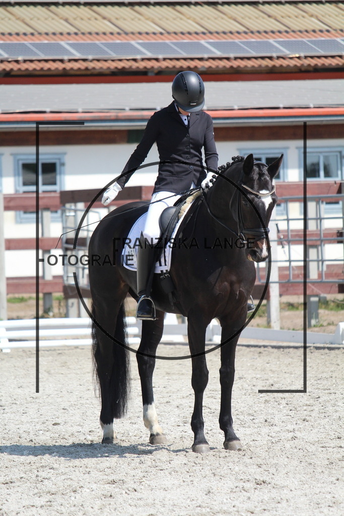 IMG_3783 | franziskalange - Realisiert mit Pictrs.com