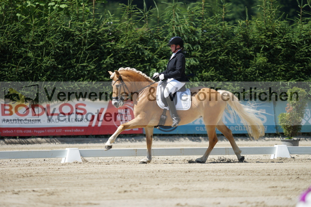DSC02227 | equestrian-live-com