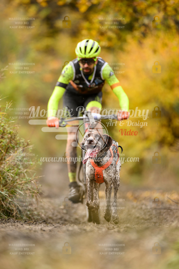 MompixPhotography_ICF_WC_2024_SA_Bike_-174 | PayLife