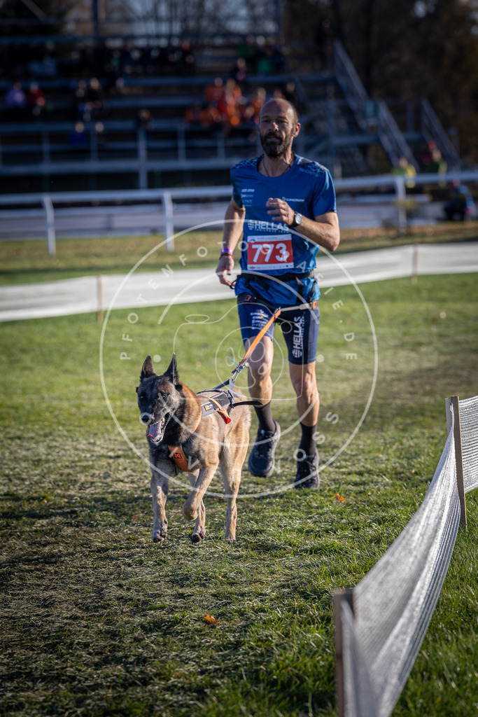 CaniXpix_DV3A2700 | Hundefotografie, Tierfotograf, Pfotenfotografie, Fotoshooting Hund, Hunde Portrait, Hundesport, Hundeportraits, Heideshooting, Hunde, Sportfotograf, Hundefotograf, Turnierhundsport, THS,  - Realisiert mit Pictrs.com