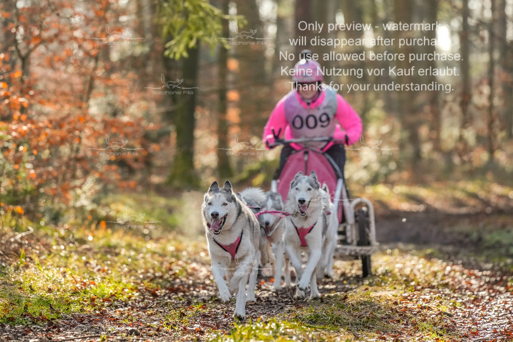 So_Gespanne-22 | stephaniefillaphotographie - Realisiert mit Pictrs.com