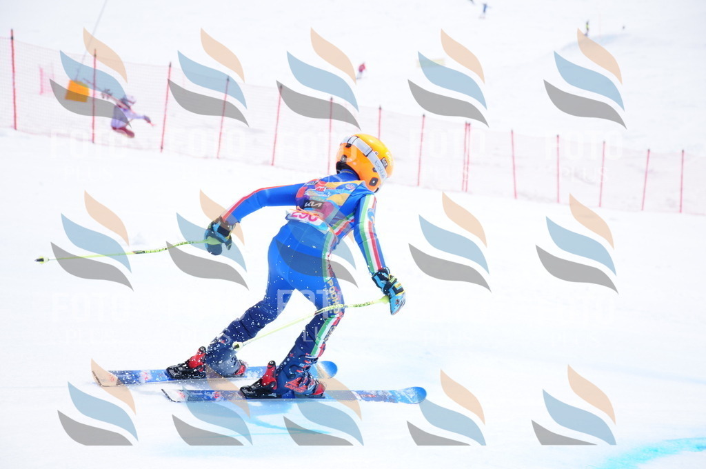 DSC_6583 | holidayphoto