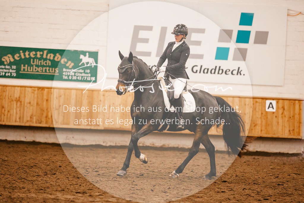 3I6A6880 | Stimmungsvolle Portraits und Reitsportfotografie im Ruhrgebiet und im Münsterland.

Pferdefotografie, Hundefotografie, Tierfotografie, Reportagen, Portraits von Tier und Mensch, Turnierfotografie in Bochum, Recklinghausen, Marl, Haltern am See, Dülmen.. - Realisiert mit Pictrs.com