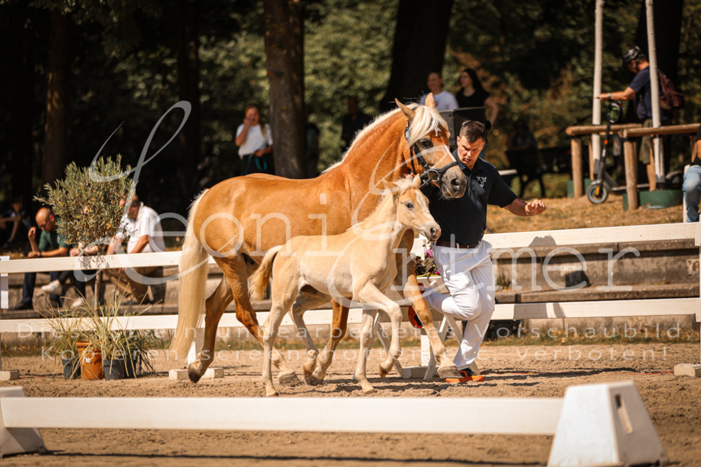 06.DoH00137 | Leoni Ertmer Photography - Realisiert mit Pictrs.com