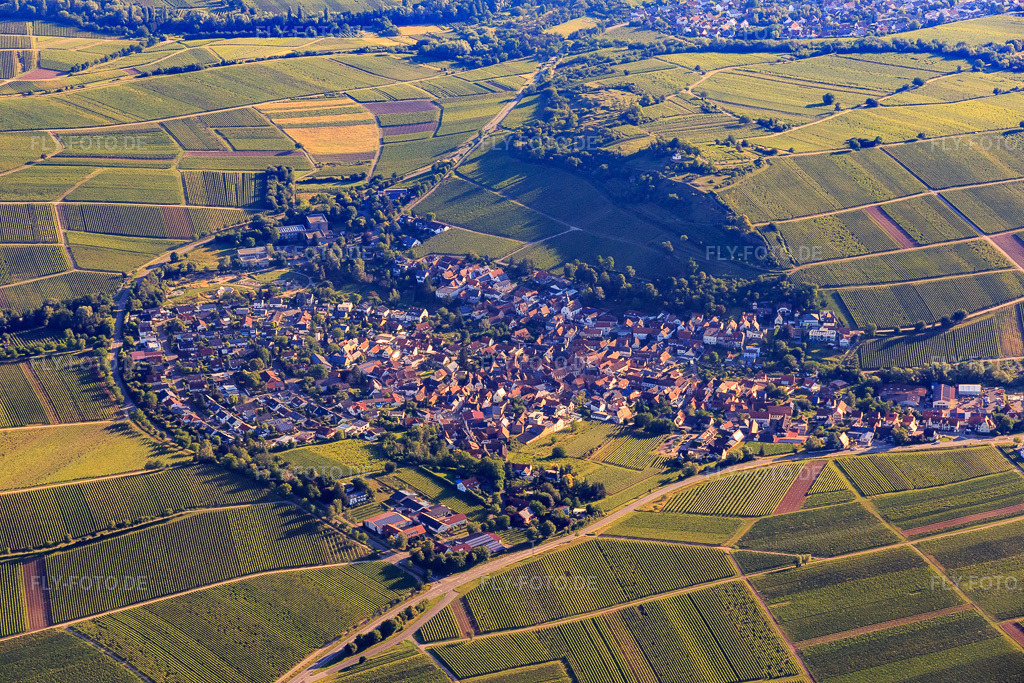 Luftbild: Winzerort an der Kleinen Kalmit aus Süden in Ilbesheim bei Landau im Bundesland Rheinland-Pfalz in Deutschland. Foto: IMG_007803.jpg vom 21.06.2020 durch Werner Riehm/FLY-FOTO.de