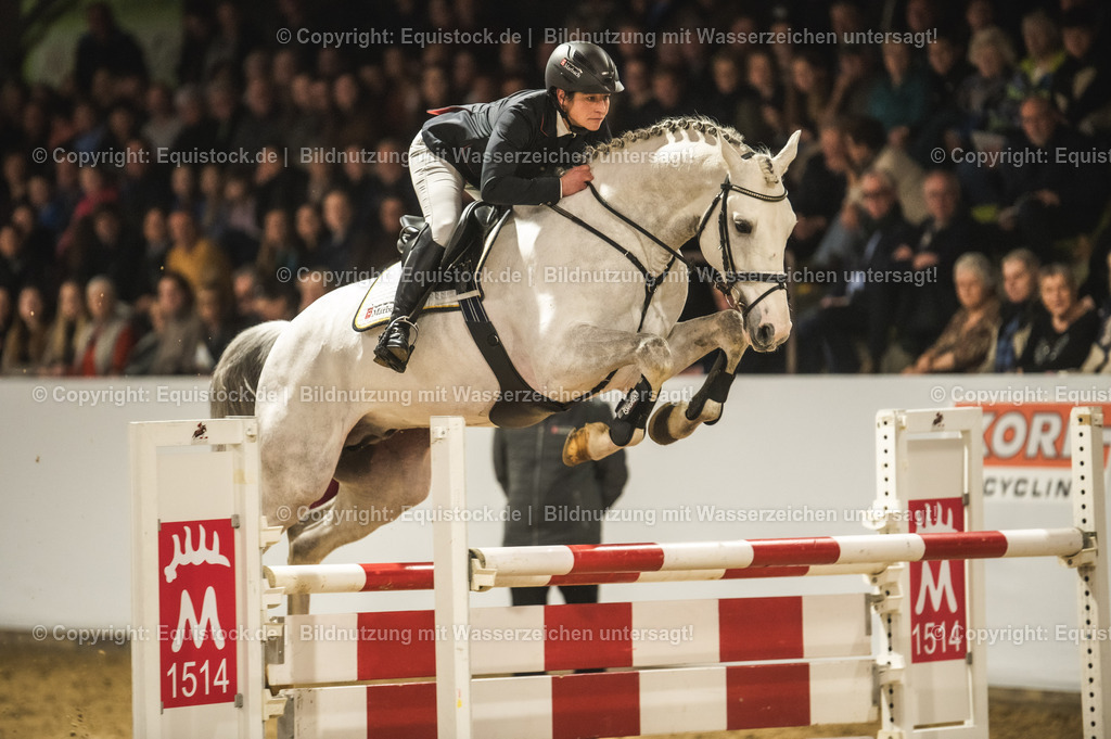 20240302_Hengstvorstellung_Marbach_TOMsPiC_1403 | equistock