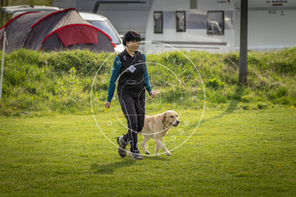 Pfotenfotografie_DV3A4990 | Hundefotografie, Tierfotograf, Pfotenfotografie, Fotoshooting Hund, Hunde Portrait, Hundesport, Hundeportraits, Heideshooting, Hunde, Sportfotograf, Hundefotograf, Turnierhundsport, THS,  - Realisiert mit Pictrs.com