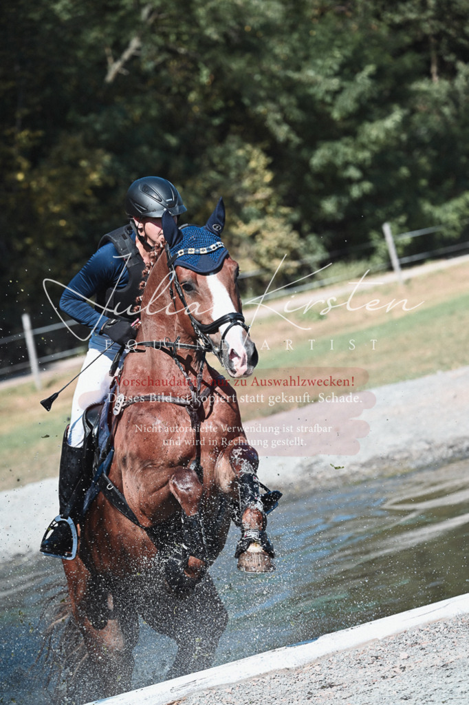 DSC_8618 | Pferde- und Turnierfotografie in Westsachsen. Pferdeportraits, Auftragszeichnungen und intuitive Kunst.
