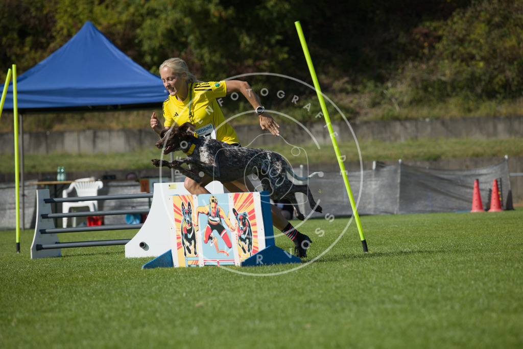 0L8A8454 | Hundefotografie, Tierfotograf, Pfotenfotografie, Fotoshooting Hund, Hunde Portrait, Hundesport, Hundeportraits, Heideshooting, Hunde, Sportfotograf, Hundefotograf, Turnierhundsport, THS,  - Realisiert mit Pictrs.com