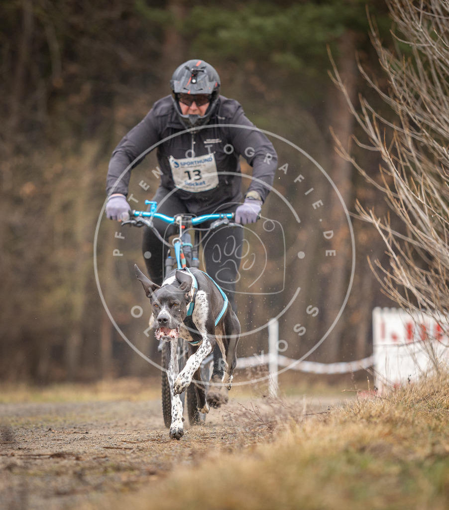 DV3A3226 | Hundefotografie, Tierfotograf, Pfotenfotografie, Fotoshooting Hund, Hunde Portrait, Hundesport, Hundeportraits, Heideshooting, Hunde, Sportfotograf, Hundefotograf, Turnierhundsport, THS,  - Realisiert mit Pictrs.com