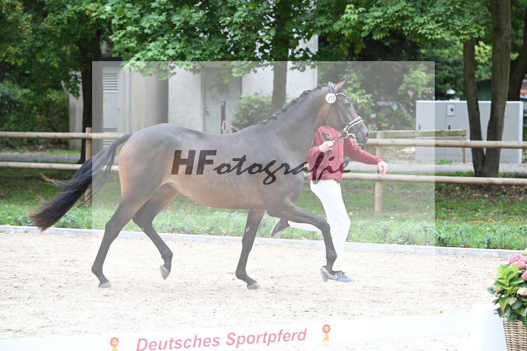 Kat-Nr. 19 Noblesse Oblige_Societe Hippique et dElevage S.A._49221318 | hf-fotografie - Realisiert mit Pictrs.com
