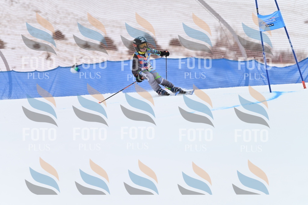 BGV_3201 | holidayphoto