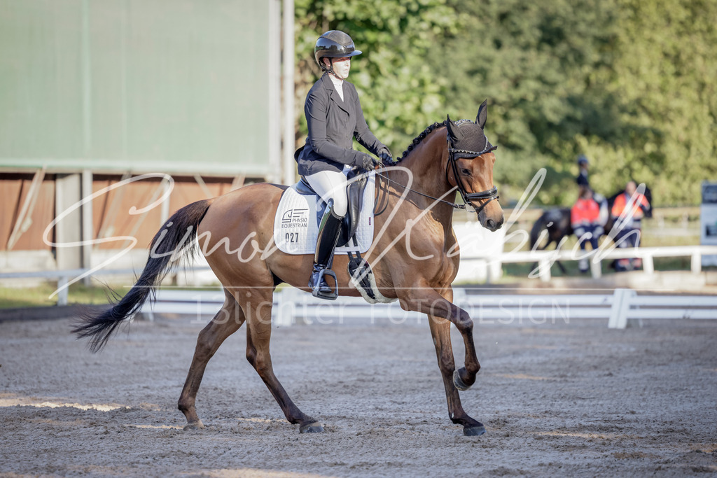 20250906-_3LI2877 | Tierfotografie Pferde, Hunde, Katzen, Haustiere.
Turnierfotografie Reitturniere, Reiten, Springreiten, Dressur in Hanau, dem Main-Kinzig-Kreis und dem Rhein-Main- Gebiet um Frankfurt