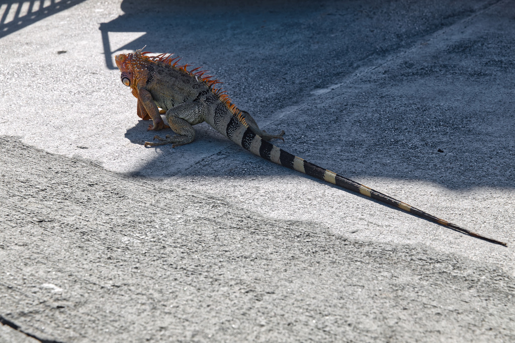 1H5A0494 | ansichtssache