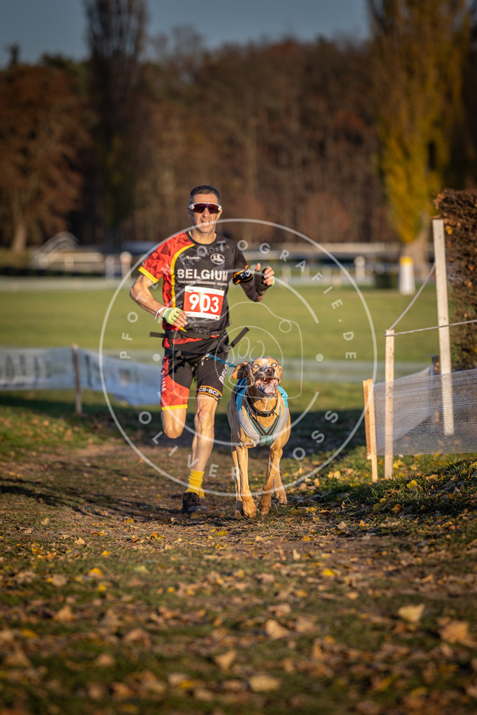 CaniXpix_DV3A4649 | Hundefotografie, Tierfotograf, Pfotenfotografie, Fotoshooting Hund, Hunde Portrait, Hundesport, Hundeportraits, Heideshooting, Hunde, Sportfotograf, Hundefotograf, Turnierhundsport, THS,  - Realisiert mit Pictrs.com