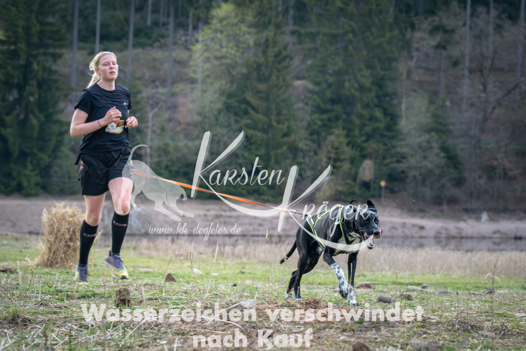 1819_ZZ95825 | kk-dogfotos